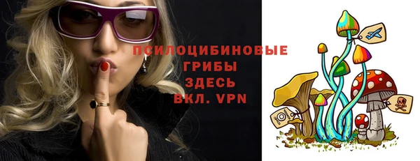 индика Козельск
