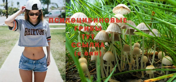 героин Козловка