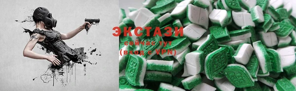 индика Козельск