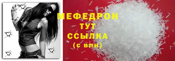 индика Козельск