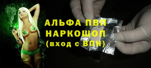 индика Козельск