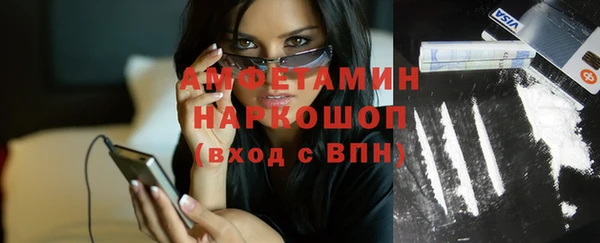 индика Козельск