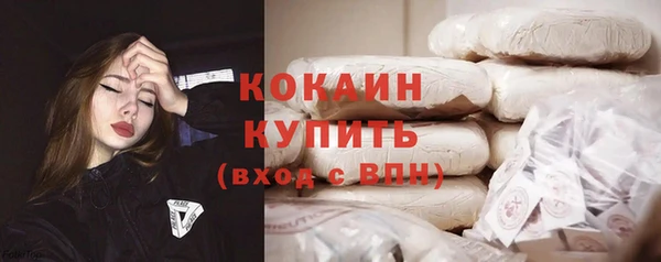 индика Козельск