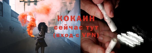 индика Козельск