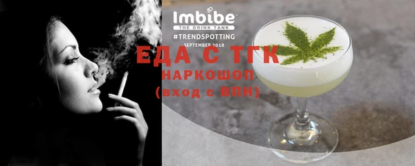 индика Козельск