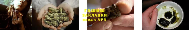 индика Козельск