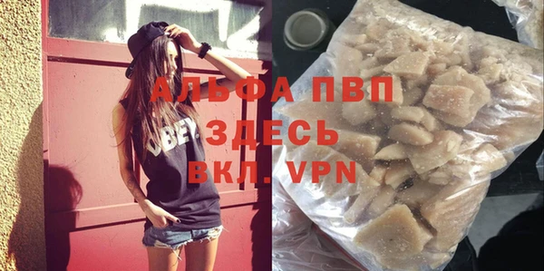индика Козельск