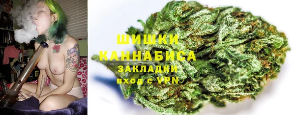 СК Кодинск