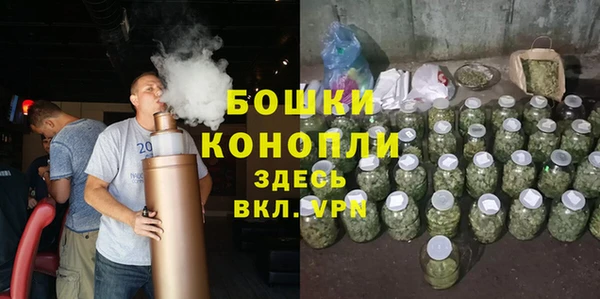 индика Козельск