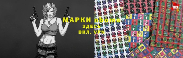 индика Козельск