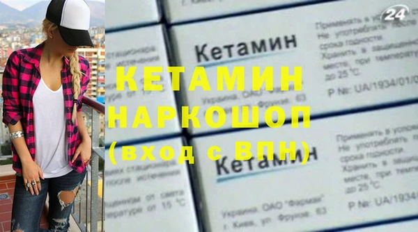 индика Козельск