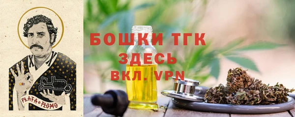 индика Козельск
