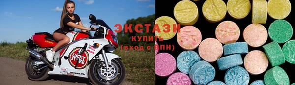 индика Козельск