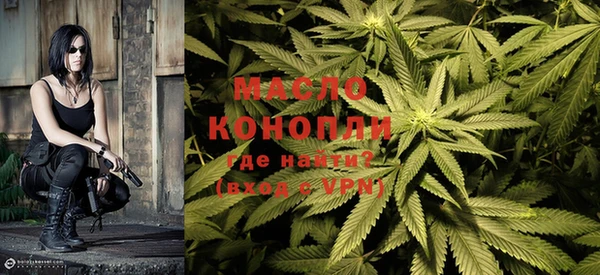 индика Козельск