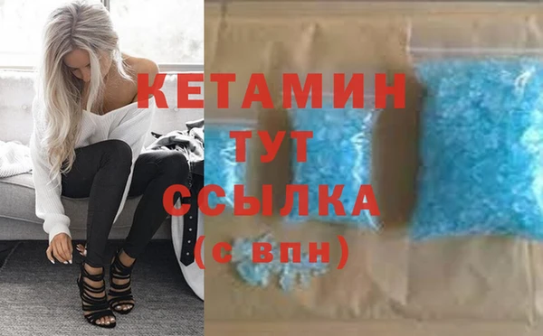 индика Козельск