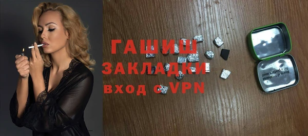 индика Козельск